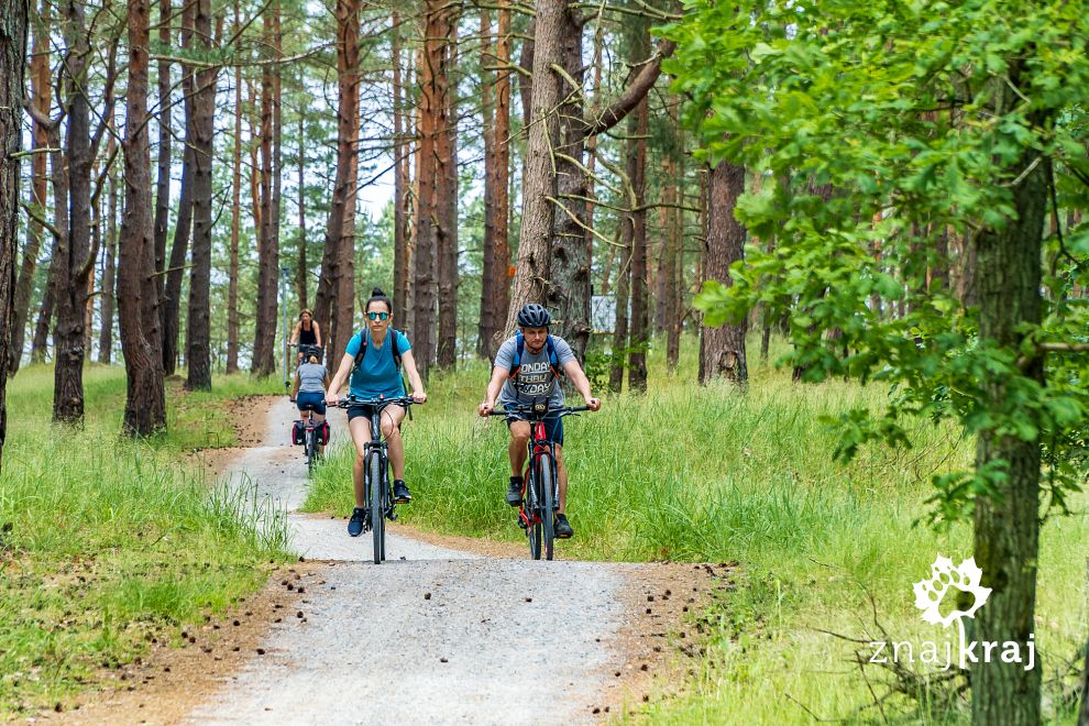 droga-rowerowa-na-mierzei-wislanej-przed