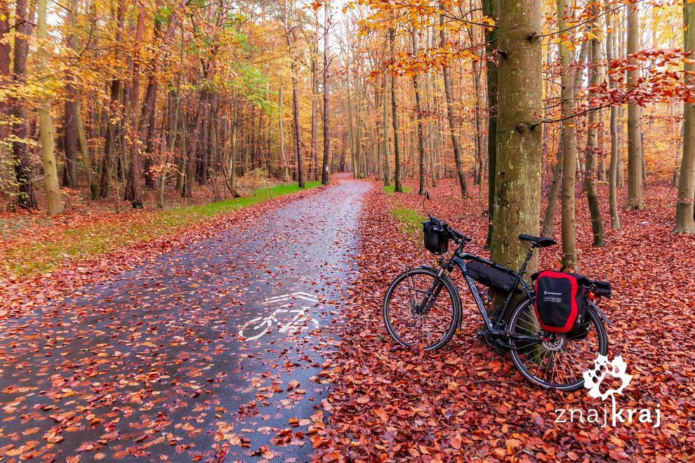 Droga rowerowa Pleśna-Mielno