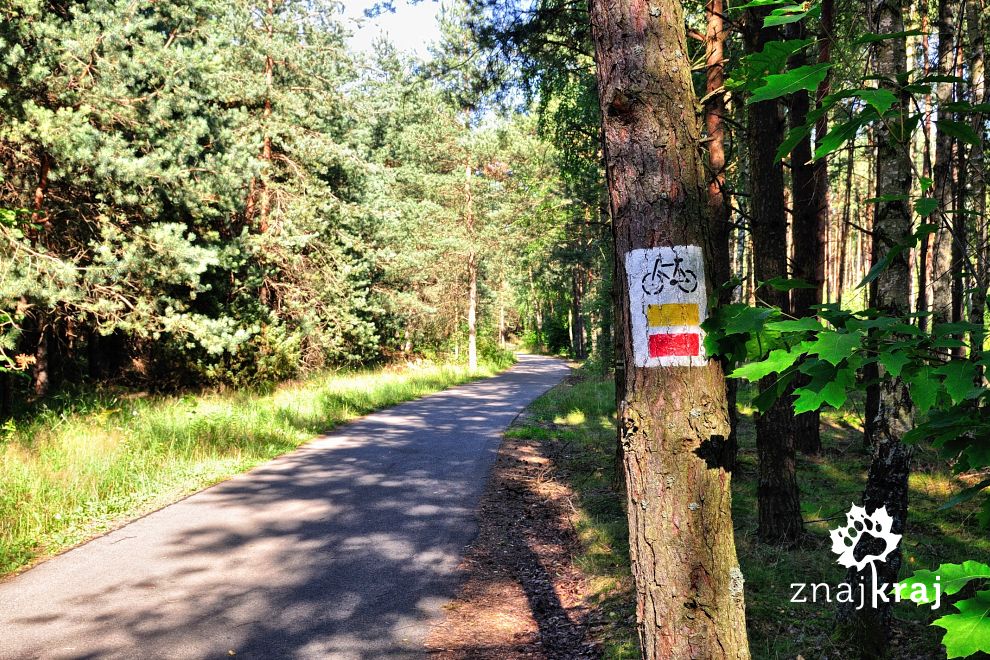 Droga rowerowa przed Mirowem