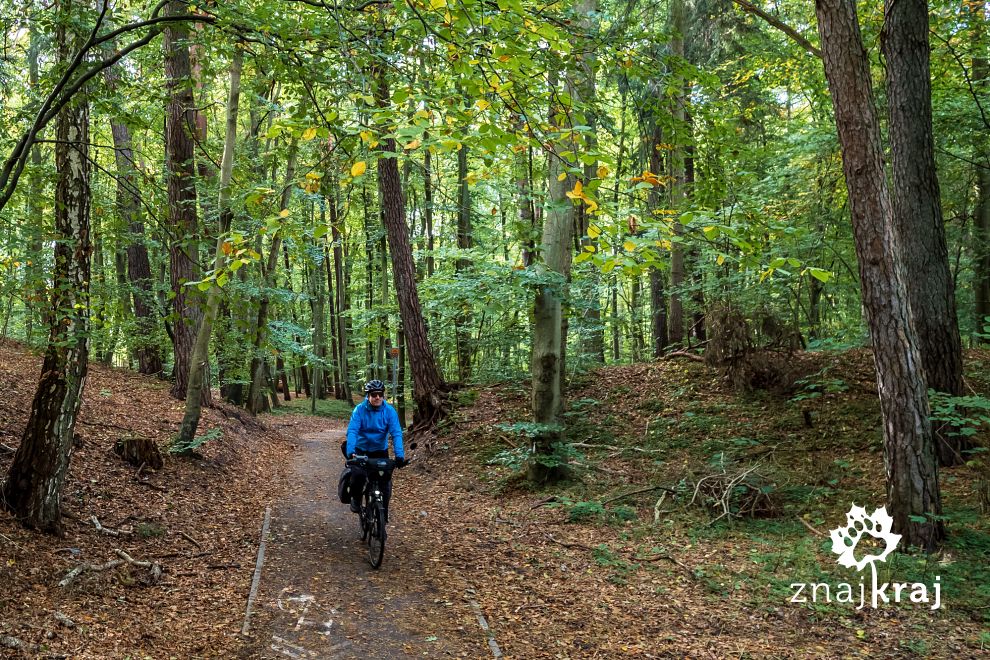 droga-rowerowa-przez-las-kolo-mielna-vel