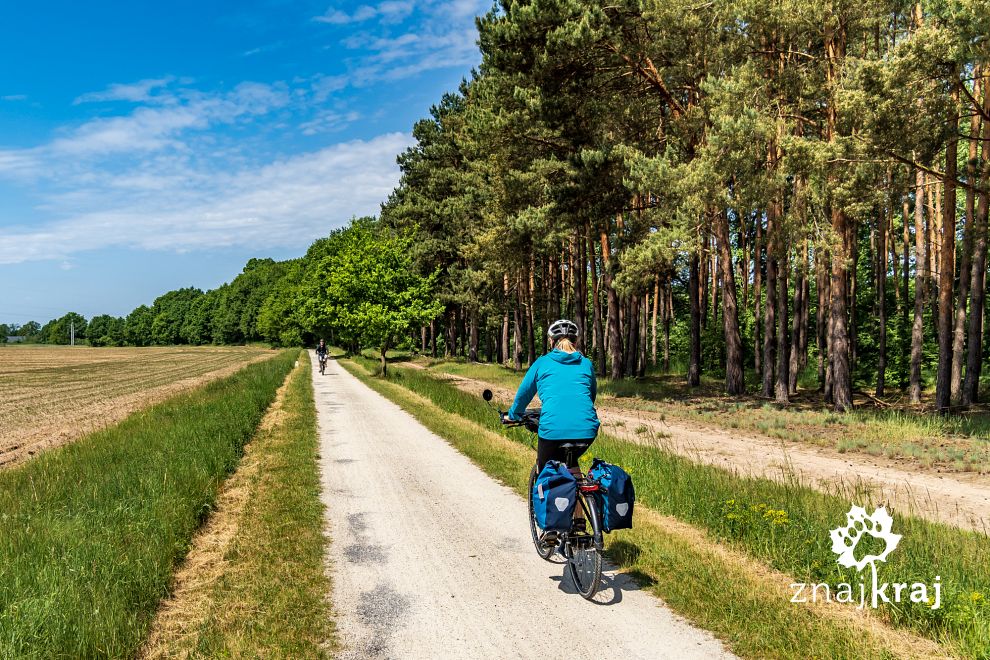 droga-rowerowa-ryszarda-szurkowskiego-w-