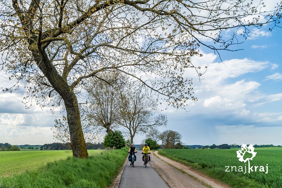 droga-rowerowa-szlaku-zalewu-szczecinski