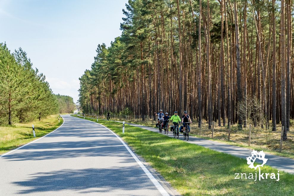 droga-rowerowa-w-kierunku-beeskow-w-bran