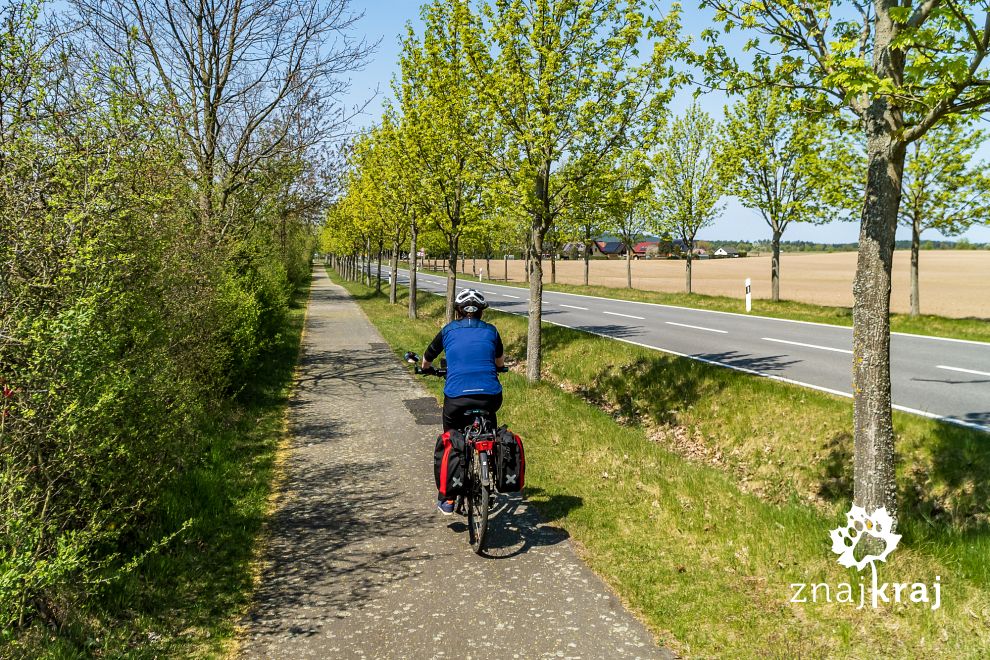 droga-rowerowa-w-okolicy-merz-w-brandenb