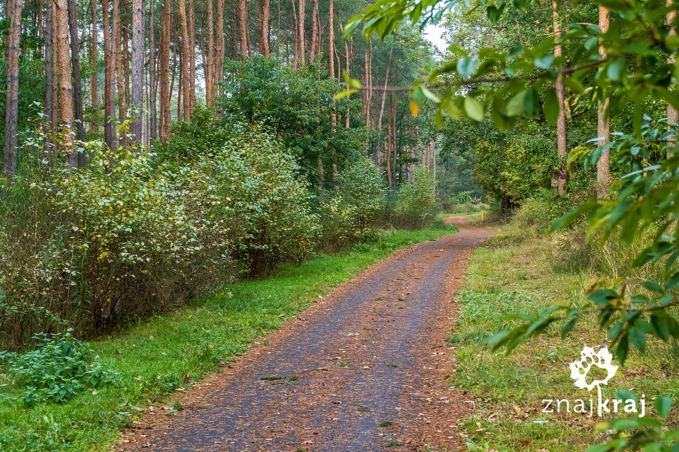 Droga rowerowa w powiecie toruńskim