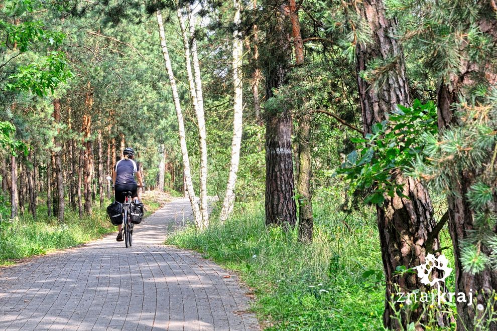 Droga rowerowa z Tomaszowa do Spały