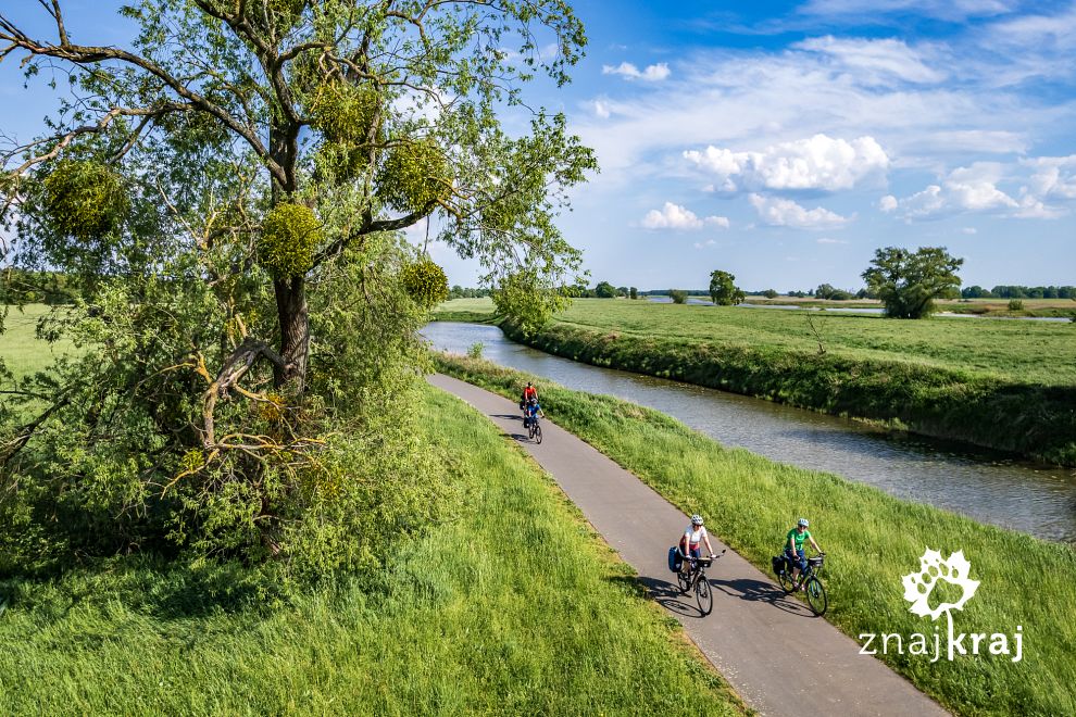 elberadweg-szlak-rowerowy-laby-w-niemcze