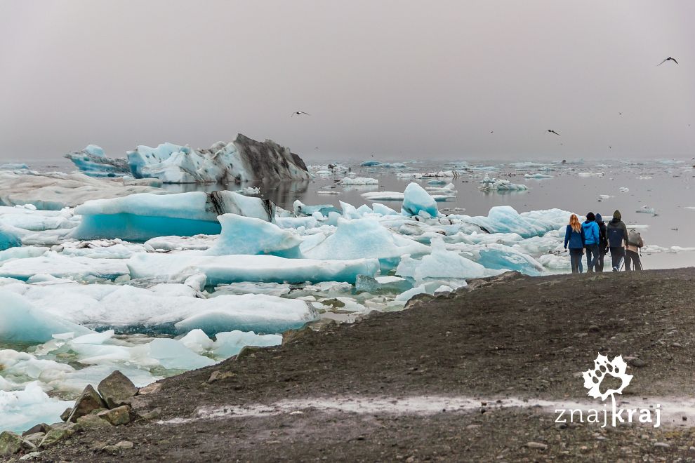 Jökulsárlón - Laguna Lodowcowa