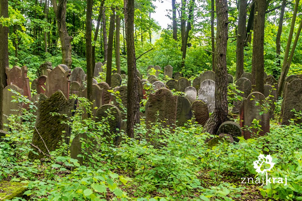 Zarośnięty kirkut w Kromołowie