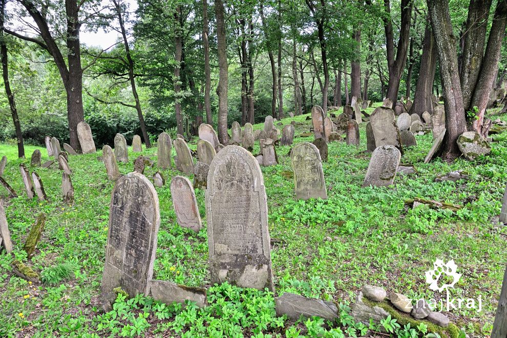 Kirkut w Nowym Żmigrodzie