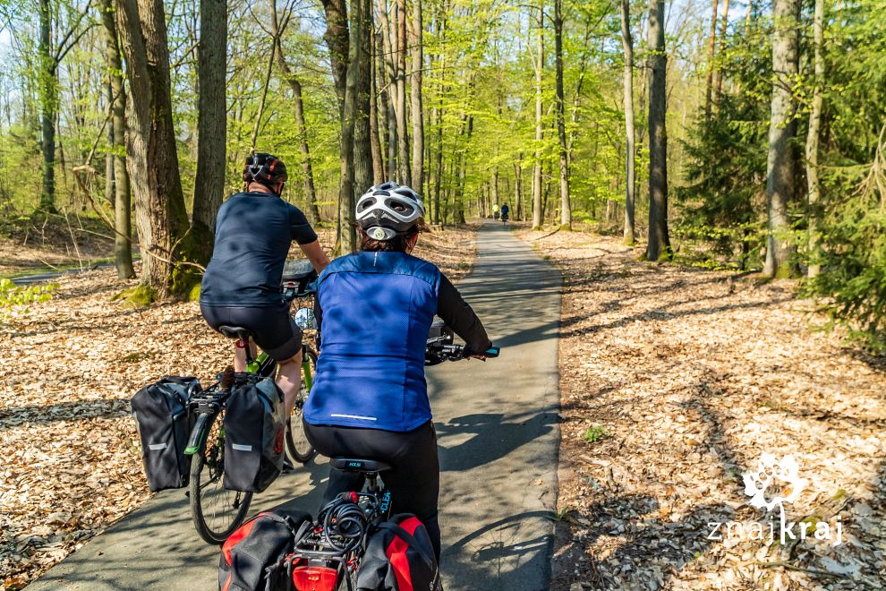 komfortowe-drogi-rowerowe-brandenburgii-