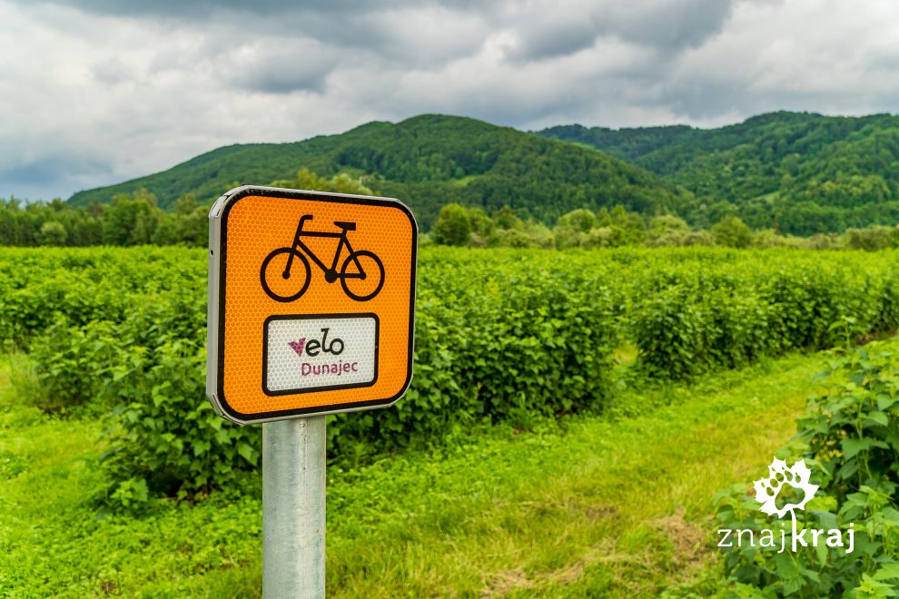 Sady jabłkowe koło Velo Dunajec