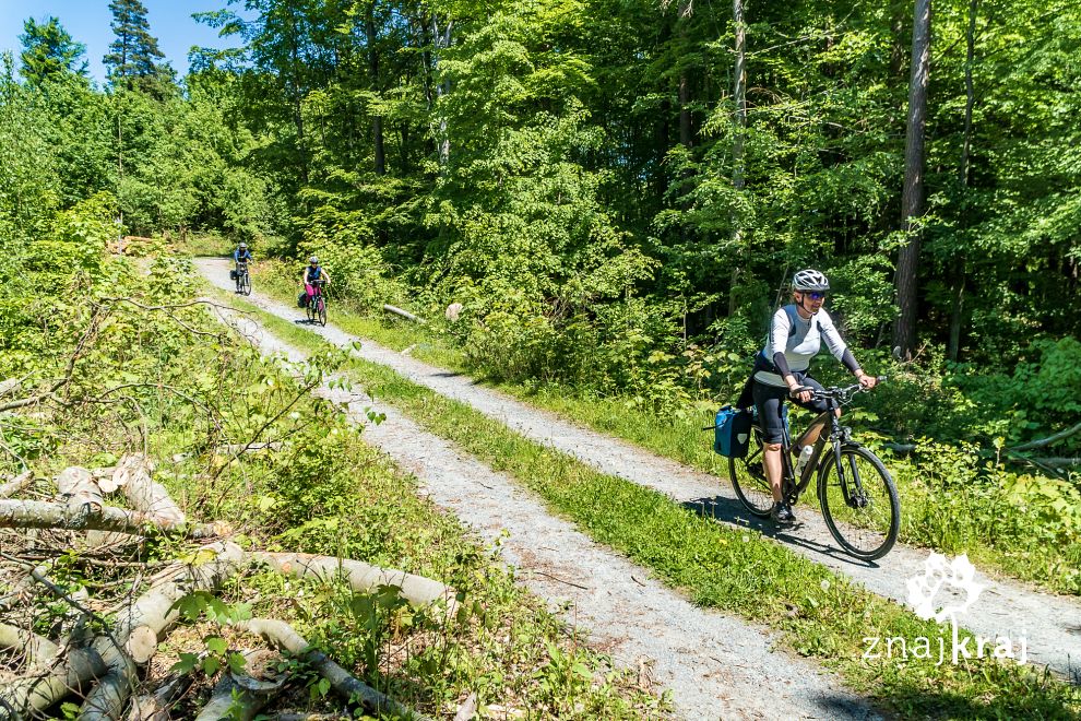 lesny-odcinek-green-velo-na-wysoczyznie-