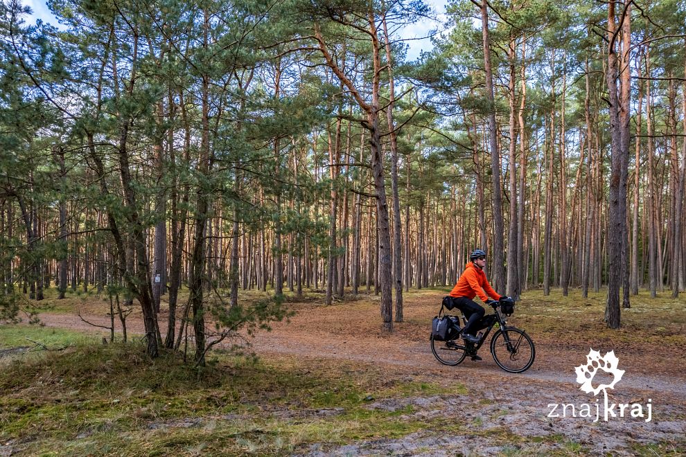 lesny-odcinek-szlaku-eurovelo-10-velo-ba