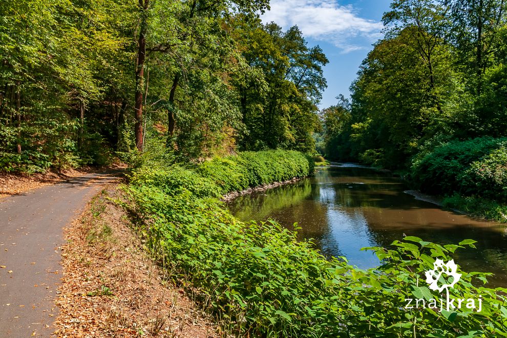 Leśny odcinek szlaku rowerowego nad Nysą