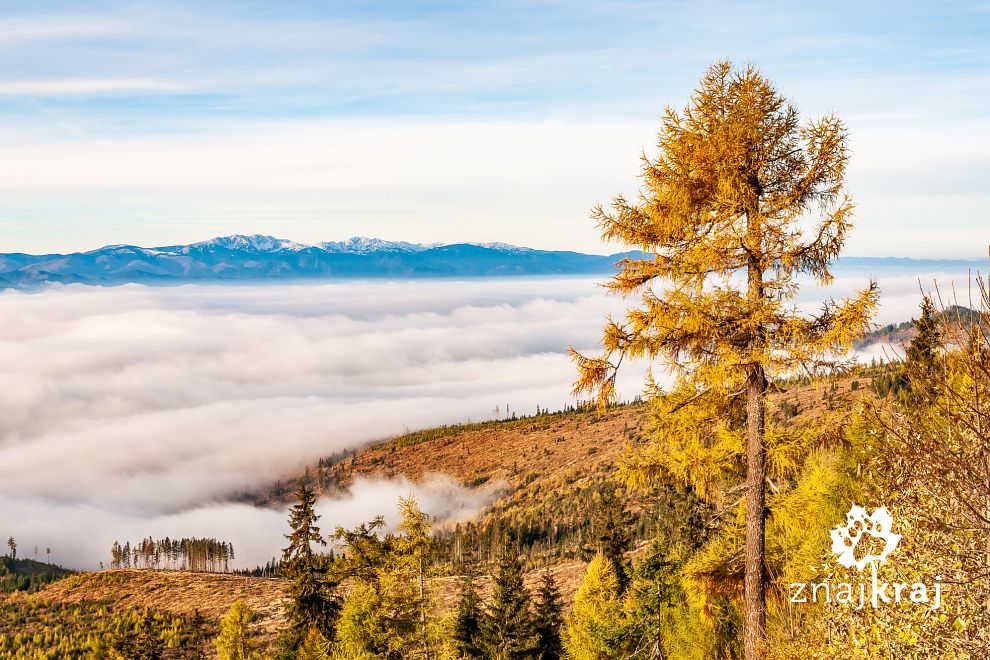 mgly-nad-kotlina-liptowska-tatry-2015-sz