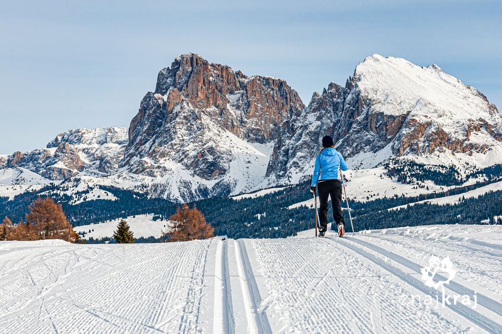 na-biegowkach-pod-sasso-lungo-w-dolomita