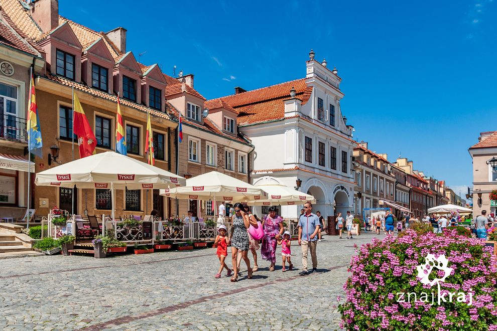 Na pięknym rynku w Sandomierzu
