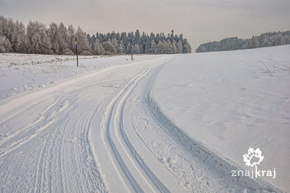 Narciarska trasa przed schroniskiem Pasterka