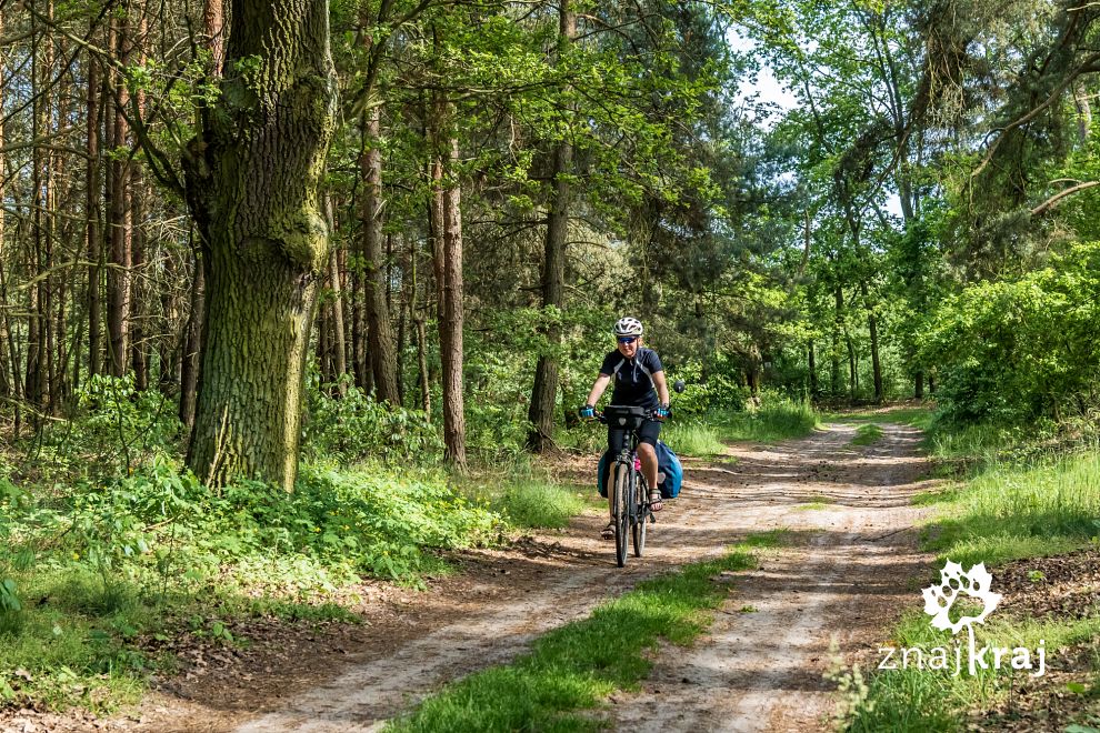 naturalna-nawierzchnia-szlaku-doliny-bar