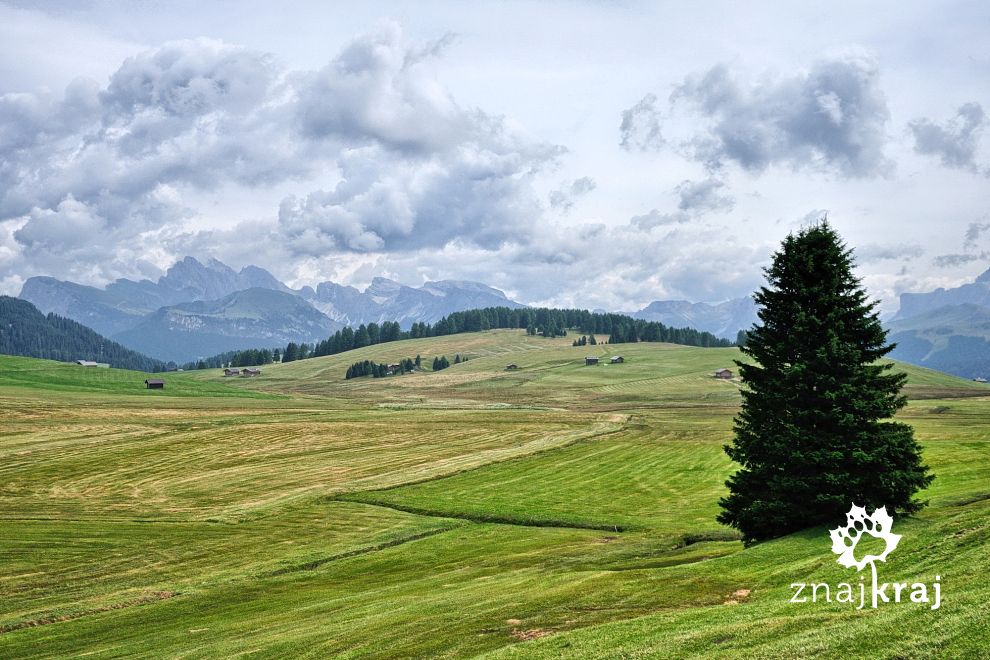 Panorama Alpe di Siusi