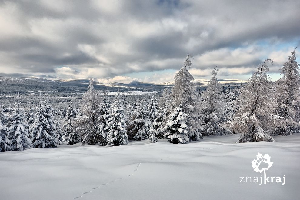 Panorama Gór Izerskich