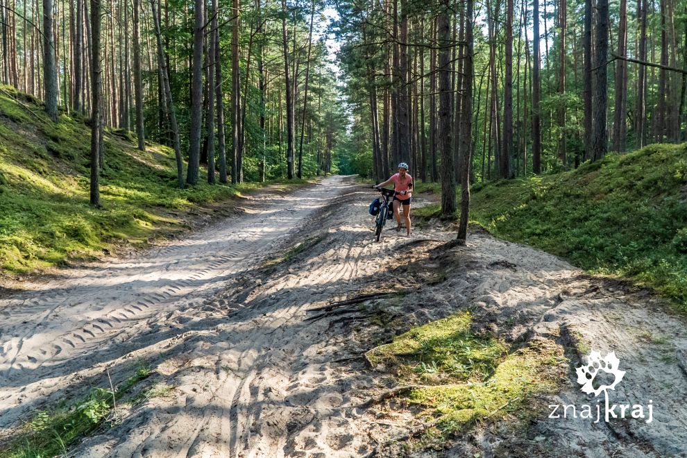 piasek-na-szlaku-eurovelo-10-kolo-zarnow