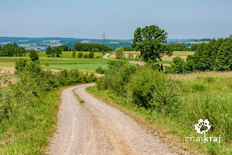 Szlak rowerowy Green Velo za Dynowem