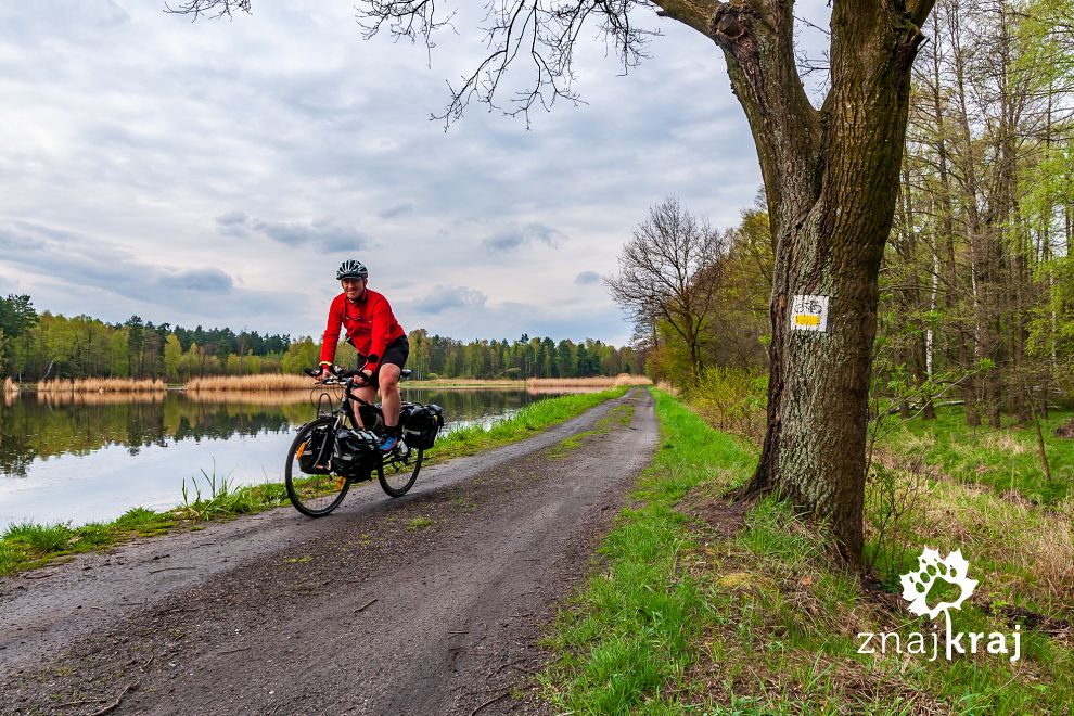 Na szlaku rowerowym na Pojezierzu Palowickim