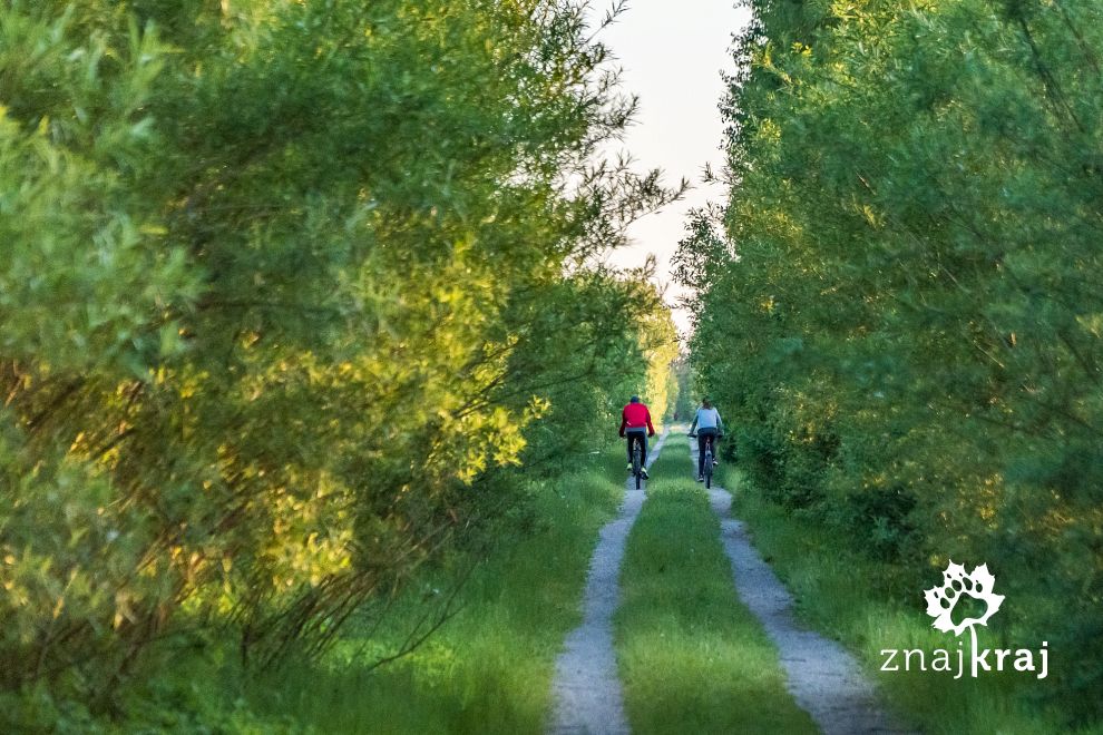 pokolejowa-droga-rowerowa-na-warminskiej