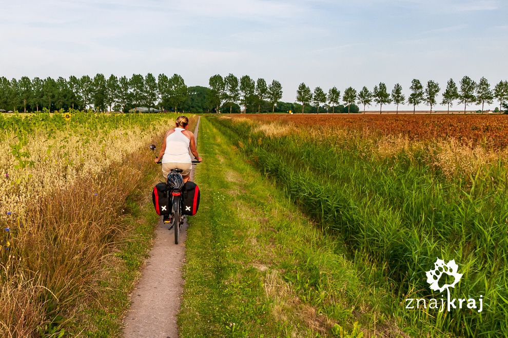 polna-sciezka-rowerowa-na-polnocy-holand