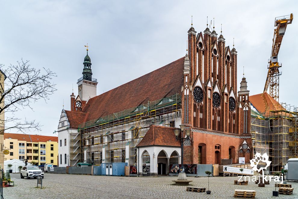 Ratusz we Frankfurcie nad Odrą