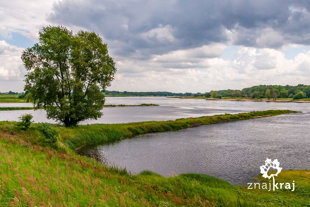 W Rezerwacie Biosfery Środkowej Łaby