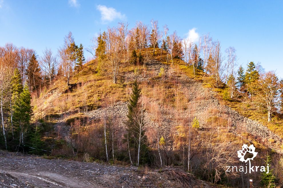 Rezerwat geologiczny Gołoborze w Bieszczadach