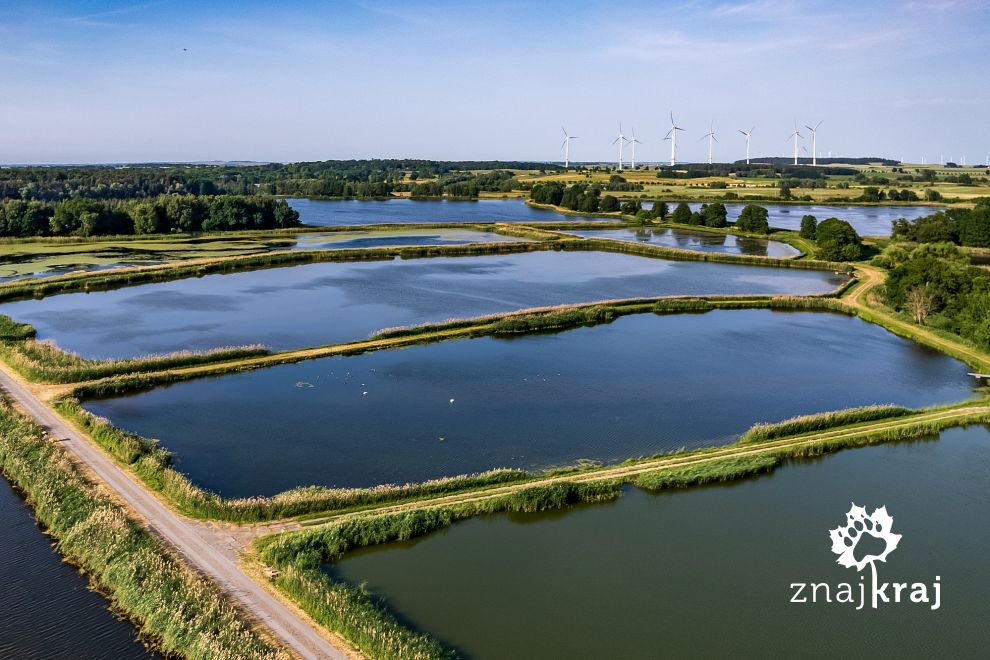 rezerwat-przyrody-blumberger-muhle-fisch