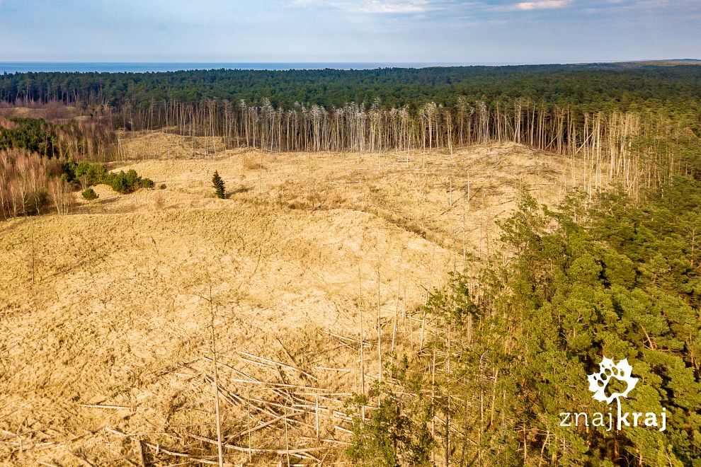 Rezerwat przyrody Kąty Rybackie na Mierzei Wiślanej