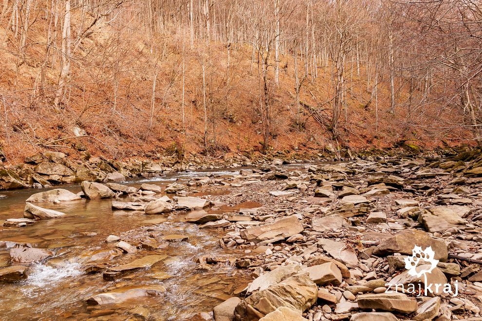 rezerwat-przyrody-sine-wiry-bieszczady-2