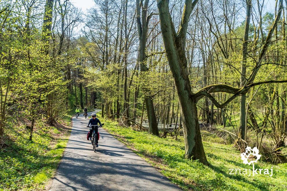 rowerem-po-lasach-brandenburgii-brandenb