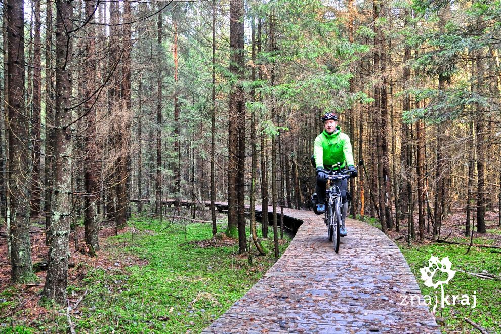 Na pomostach szlaku wokół jeziora Wigry