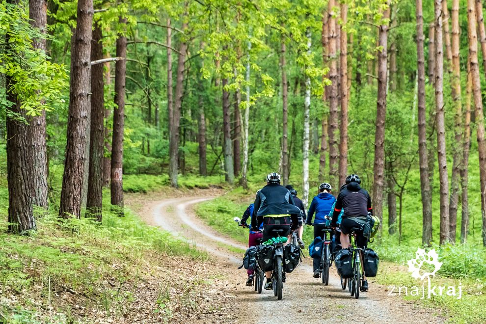 rowerowa-grupa-w-lesie-na-mierzei-wislan