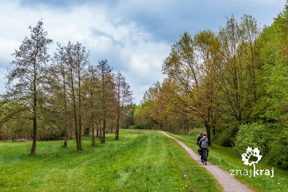 Rowerowe trasy Spreewaldu