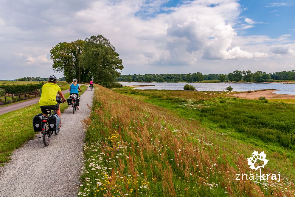Rowerzyści na drodze rowerowej wzdłuż Łaby