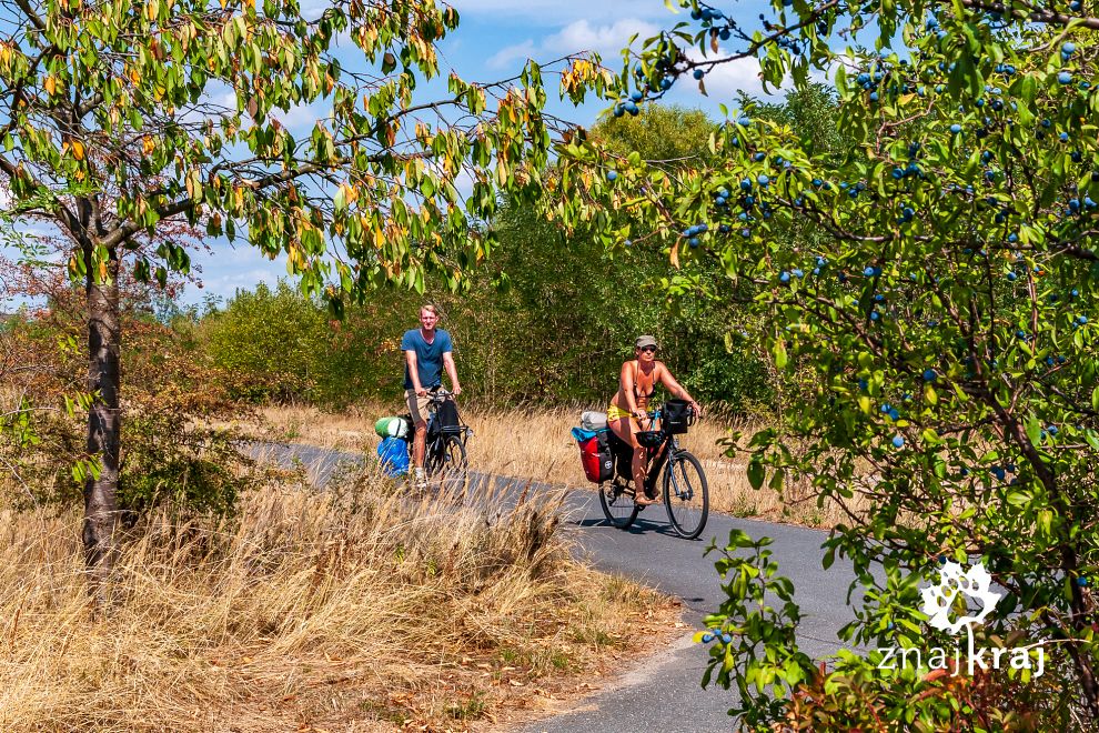 Turyści rowerowi na szlaku Odra-Nysa