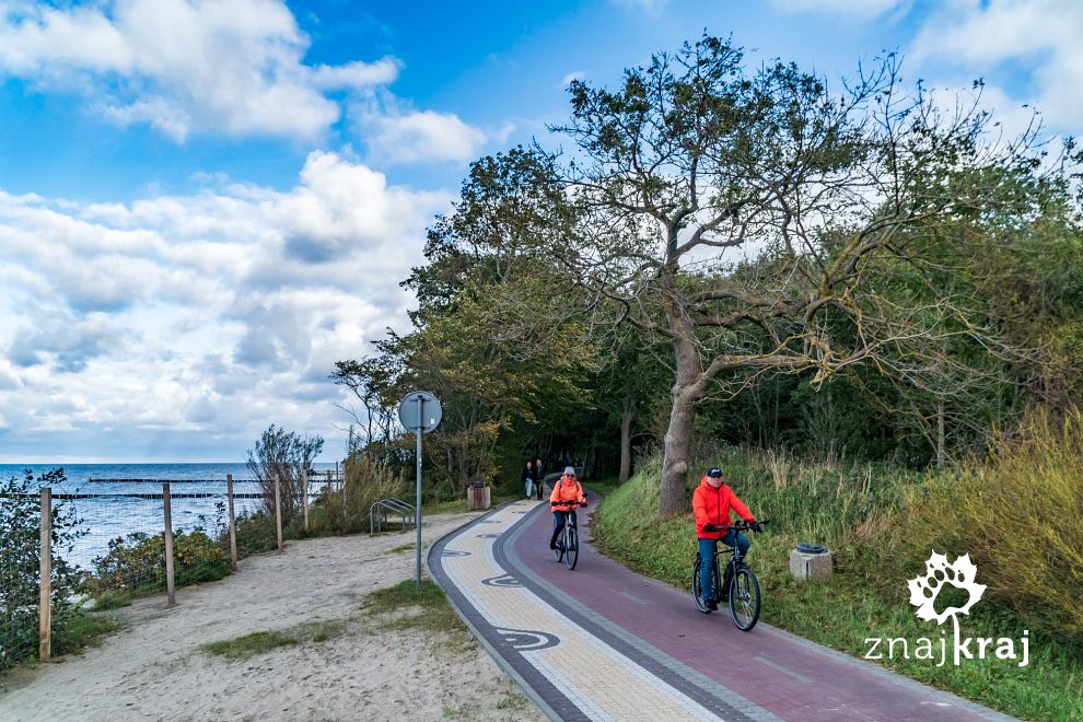 rowerzysci-na-promenadzie-rowerowej-kolo