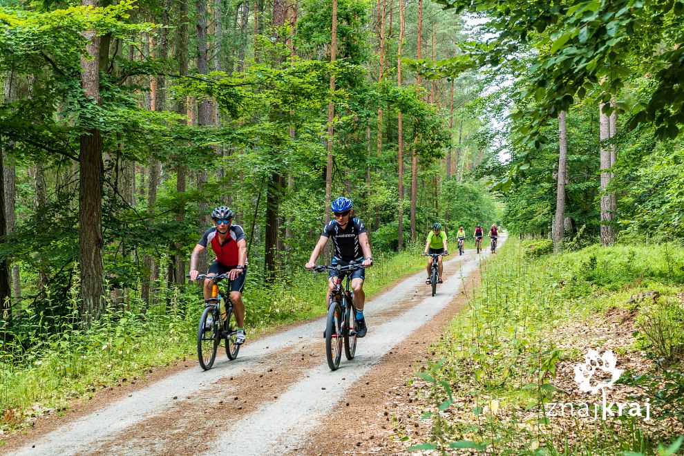 rowerzysci-na-trasie-rowerowej-kolo-steg