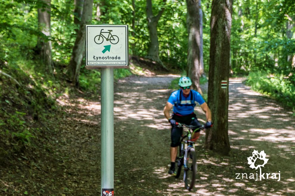 Rowerzysta na olsztyńskiej Łynostradzie