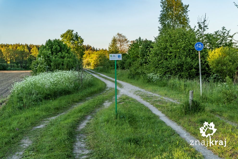 samochody-na-drodze-rowerowej-kolo-lidzb