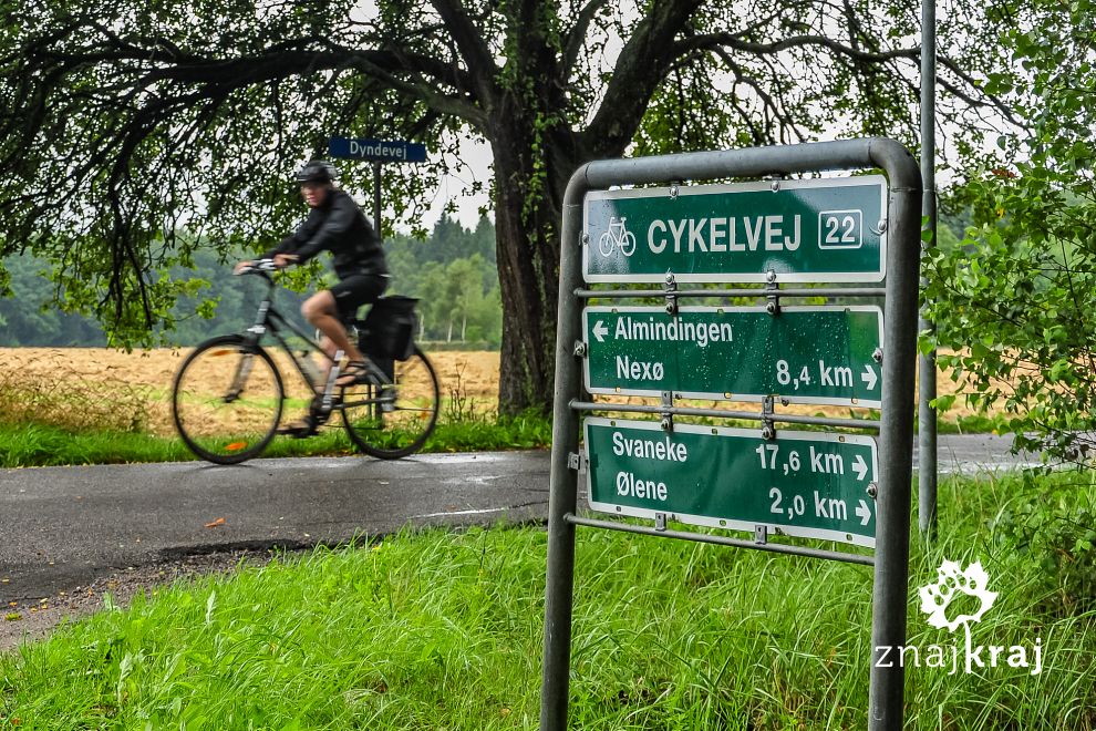 Ścieżka rowerowa w lesie Almindingen