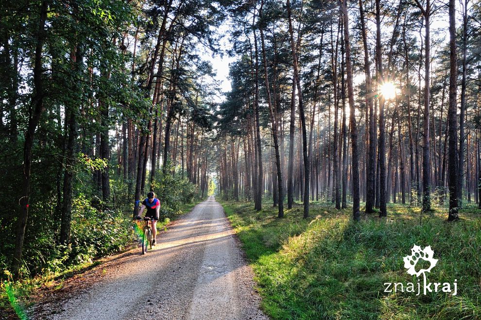 Utwardzone trasy rowerowe na Kielecczyźnie