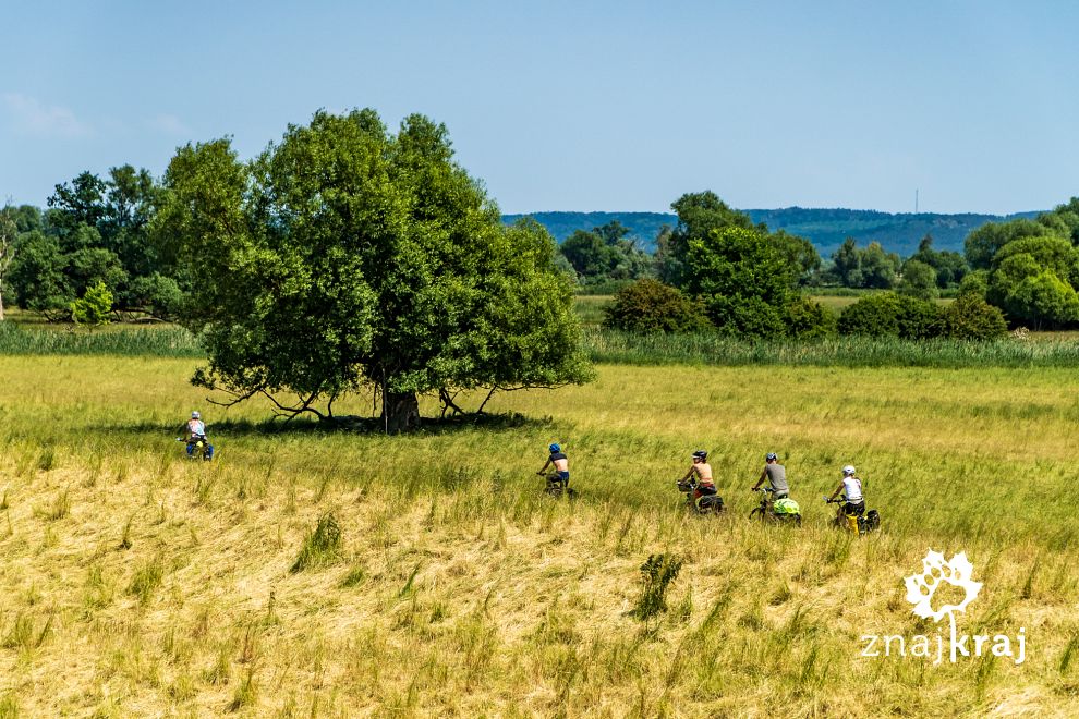 szlak-odra-nysa-w-uckermarku-uckermark-2